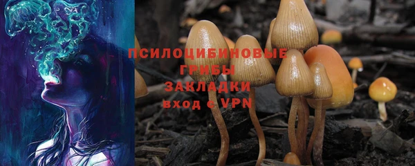 эйфоретик Арсеньев