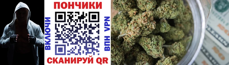 Бошки марихуана планчик Новоалександровск